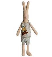 Mini rabbit boy