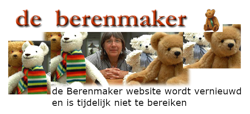 foto op tijdelijke homepage